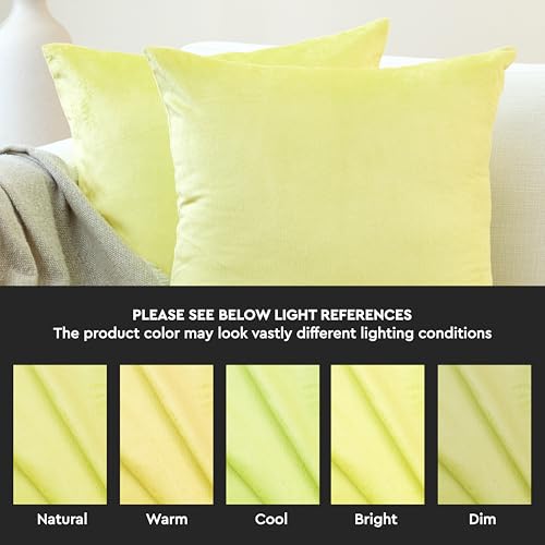 Image of Encasa XO Velvet Throw Pillow Covers 12x20 in (30x50 cm) - Pale Lime - No Inserts, Pack of 2 Cases | Solid Plain Dyed Soft & Smooth, Square Decorative Cushion Covers for Living & Bedroom