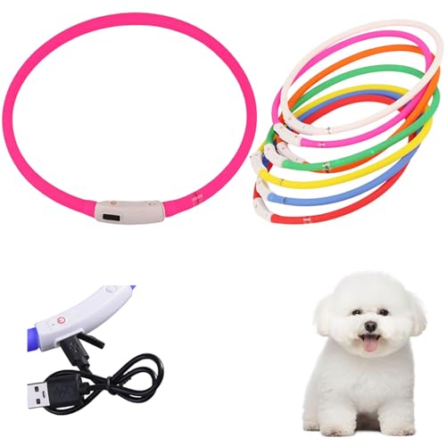 Lifetips rVEt[[iBichon Frisej Lp LED USB[d h y _炩VR 7FC{[ ԎU S΍ TCY 铹Cg (sN)