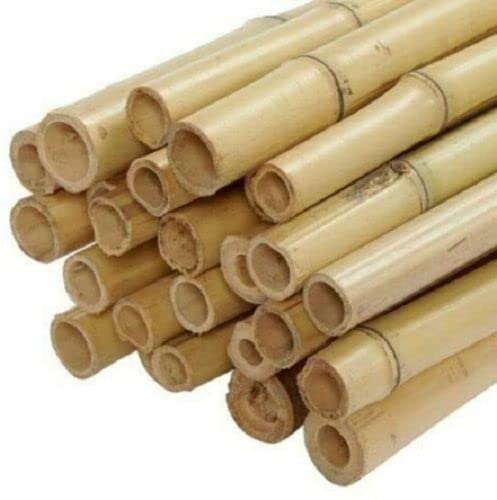 Bamboo Wood Natural Finish Garden Fence Plants & Home Decor Canes (40, 5ft (150cm))