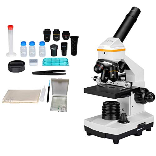 compound microscopes