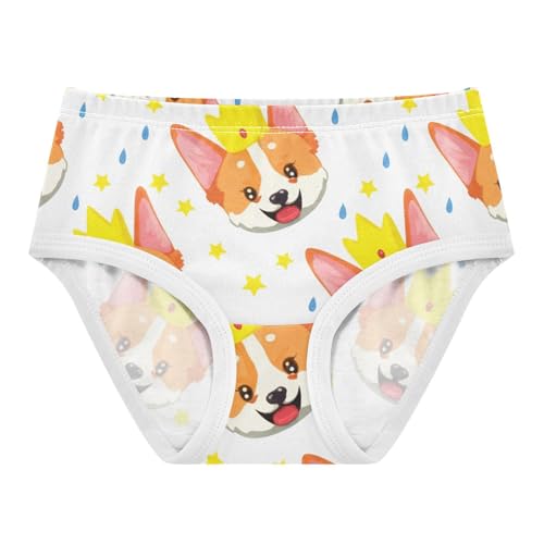 Cute Cartoon Corgi Dog Puppy Toddler Underwear Floral 2t Cotton Panties for Girl Animals Briefs Undies Kids