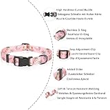 HEELE Hundehalsband, Hunde Halsband für Welpen Kleine Mittlere Große Hunde, Gemustertes Hundehalsbänder Verstellbares, Komfort, Robustem HundeHalsband, Rosa, XS
