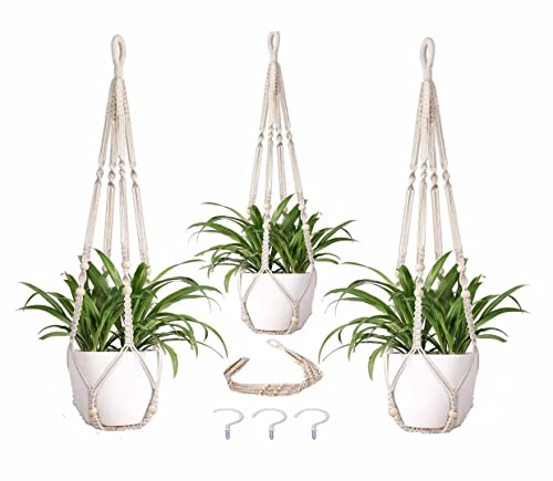 2 Stück Wandbehang Glas Pflanzgefäße - Hängende Blumentöpfe Für Home Decor