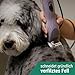 Agrarzone Edition Wahl KM10+ Hundeschermaschine mit Aufsteckkamm-Set - Profi Schermaschine Hund & Katze - Für Groomer & Tierärzte - Leise & vibrationsarm