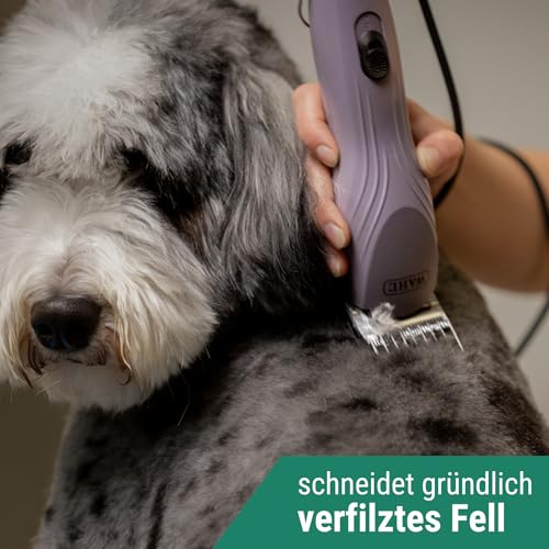 Agrarzone Edition Wahl KM10+ Hundeschermaschine mit Aufsteckkamm-Set - Profi Schermaschine Hund & Katze - Für Groomer & Tierärzte - Leise & vibrationsarm
