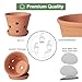 6 Inch Terracotta Orchid Pots with Holes, Saucers - 3 Pack Clay Orchid Planter Pots for Repotting, Small Terra Cotta Pot, Indoor & Outdoor, Promotes Air Circulation