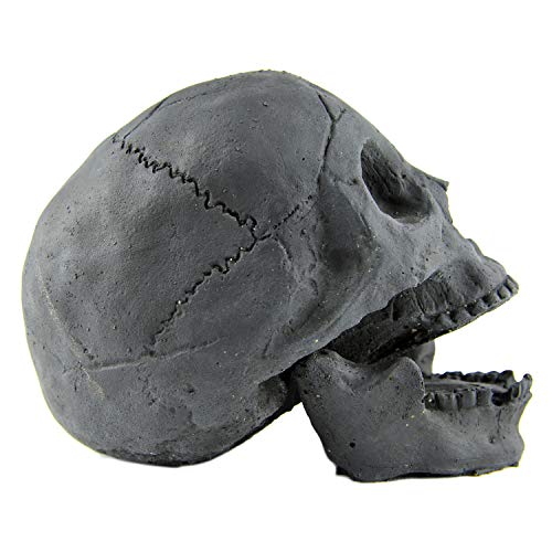 Myard Fireproof Imitated Human Fire Pit Skull Gas Log For Ng, Lp Wood Fireplace, Firepit, Campfire, Halloween Decor, Bbq (Qty 1, Black) #TOP2
