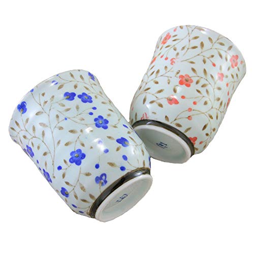 vwہiݒqj Lc [ہiEԁj X vwZbg ԕbaH  OKH