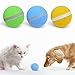 Wicked Ball Toy - Toy Actif Salto palla giocattolo interattivo per animali domestici, cane e gatto, con flash LED rotante, USB ricaricabile per cani e gatti