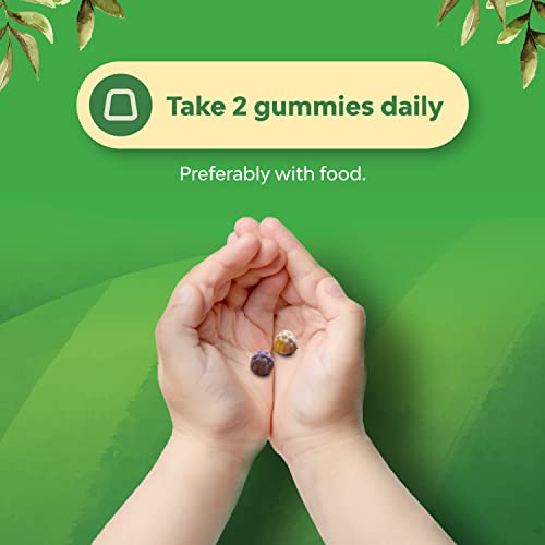 Delicious Kids Calcium Gummies - Toddler Vitamin D And Calcium Gummies For Children - Kids Vitamin Gummies With Calcium And Vitamin D For Muscle Bone And Teeth Development - Kosher Childrens Gummies #TOP5