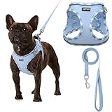 AMTOR Small Dog Harness with Leash Set, No Escape Easy Walk Puppy Harnesses for Training Walking, Step-in Reflective Soft Dogs Vest for XS S Medium Extra-Small Large Sized Dog(S Size,Blue/White)