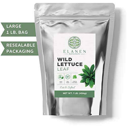 Wild Lettuce 16 oz. (1 lb. Bag), Contains Organic Non-GMO Wild Lettuce in BPA-Free Packaging, Wild Lettuce Leaf, Lactuca Virosa, Cut & Sifted - Thumbnail 2