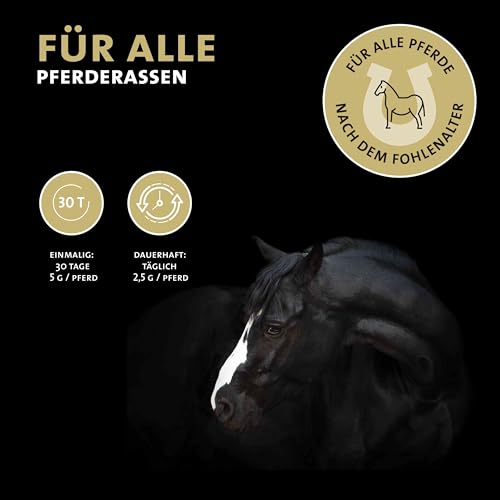 Peticare Wurm-Mix Pulver für Pferde | Natürliche Alternative, sekundierend zur Wurmkur & Wurmbefall | Für Pferde & Ponys | Pflanzliche Inhaltsstoffe mit Wurm-Kraut, Wermut | petHorse Health 4605