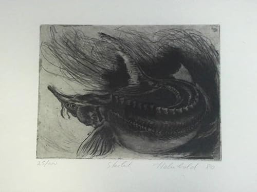 Sterlet - Original Radierung