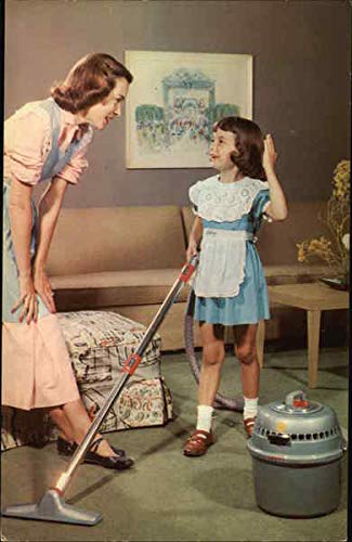 Best Hand Vacuum Cleaner For Collectibles