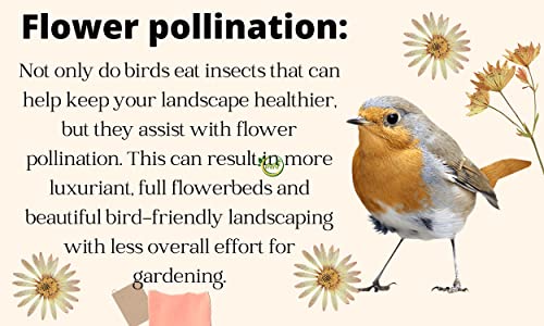 MAF Bird Food Sparrow Bird Feed 450 Gram, More Than 7 Grains and Millets Refill Pack for All Small Wild Birds, House Sparrows, Finches, Munias