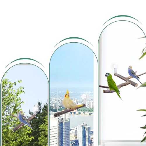 Image of SnowTing Shower Perch Platform with Suction Cups for Bird, Small and Medium Bird Parrot Parakeet African Grey Window Wall Bath Stand Wood Window Perch (Two-Y-Type)