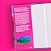 Dream State: 'The Paper Palace meets Jonathan Franzen' Sunday Times Style, Summer Reading