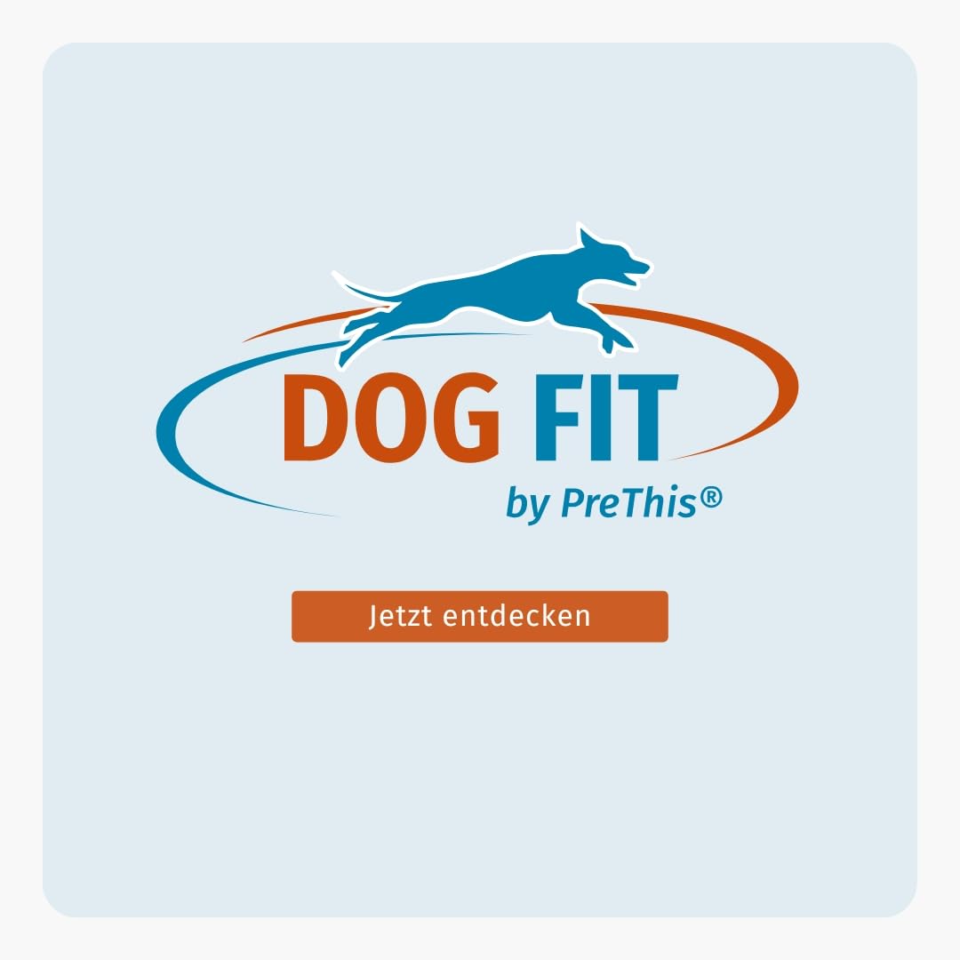 DOG FIT by PreThis® Joints für Hunde I Mit Glucosamin, MSM, Kollagen, Teufelskralle & Weihrauch I Ohne Zusätze I Large ab 25kg