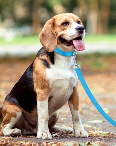 Taglory Hundeleine Kleine Hunde Leicht | Doppelseitig Reflektierend | Gepolsterter Griff | Bis zu 10 kg | 1.8m x 2cm | Himmelblau