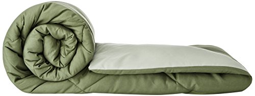 Image of Amazon Brand - Solimo Microfibre Reversible Comforter, Double (Mossy Green & Pistachio Green, 200 GSM)