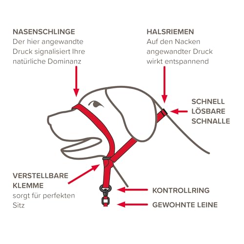 BEAPHAR - Gentle Leader® - Hundehalfter Für Kleine Rassen - Aus Nylon - Trainingshilfe Zur Kontrolle Und Führung - Von Tiertrainern Empfohlen - Größe S - Schwarz