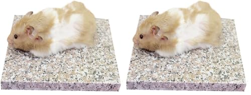 Image of emours Hamster Chinchilla Chiller Cool Granite Stone Small Animal Habitat Decor, 7.8 x 5.9 inch (Pack of 2)