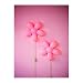 Ikea Smila Blomma Childrens Wall Lamp Pink Flower (Pink, 1)