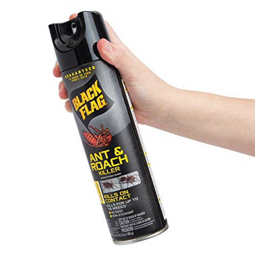 Image of Black Flag Ant & Roach Killer Aerosol, Unscented, 17.5-Ounce, 12-Pack
