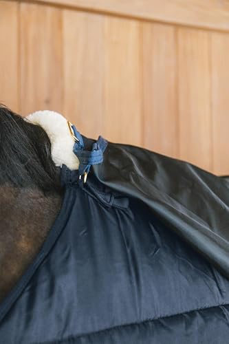 Couverture Kentucky 155 pour protéger le cheval au paddock en hiver - 4