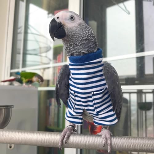 Fantasia de aniversário de festa de Natal de pano de pássaro para arara cacatua africana conure calo