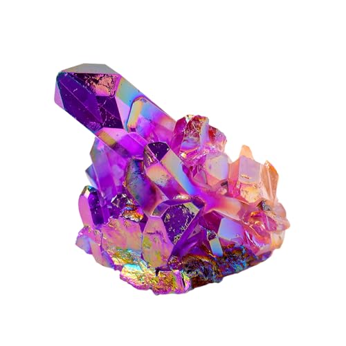 [Yizibuur]yVR NX^[zVR y㝑ipz yfXNuz CeItBX Ə a ̎R|p