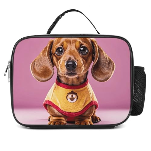 VFKLT Bolsa de comida desmontable, reutilizable, aislada, lonchera térmica para hombres y mujeres, playa, picnic, viajes