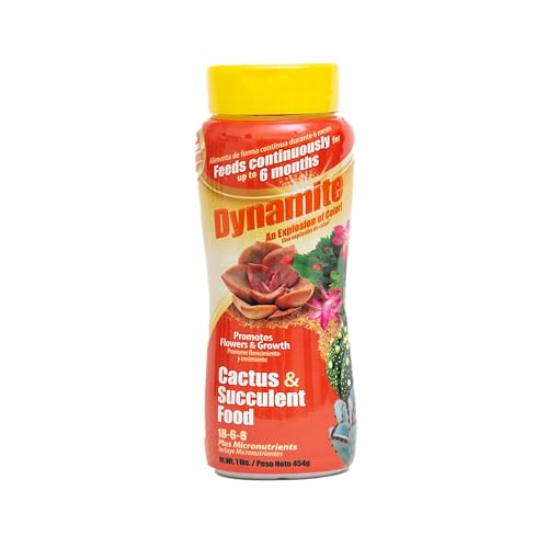 Dynamite Cactus & Succulent Food 18-6-8 - Plant Food for Indoor/Outdoor Cacti & Succulents - Continuous Feeding Up to 6 Months - Promotes Growth & Flowering - Includes Micronutrients