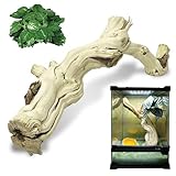 VCEPJH Large Snake Climbing Branch Decor 15.5 in Natural Reptile Wood Cork Log Bearded Dragon Tank Accessories Tree Trunk for Chameleon Gecko Ball Python Frog