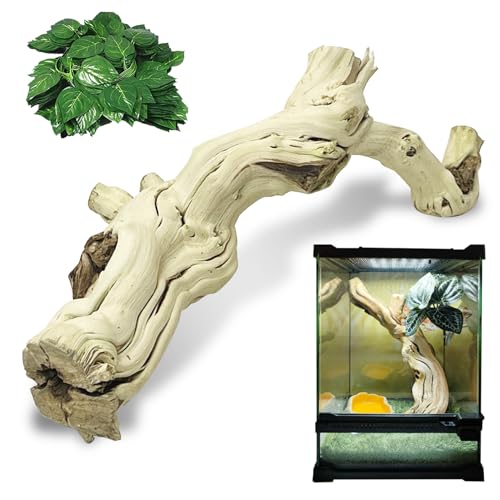 VCEPJH Large Snake Climbing Branch Decor 15.5 in Natural Reptile Wood Cork Log Bearded Dragon Tank Accessories Tree Trunk for Chameleon Gecko Ball Python Frog