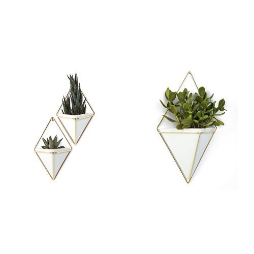 Umbra Trigg Hanging Planter Vase & Geometric Wall Decor Container - Great for Succulent Plants, Air Plant, Mini Cactus, Faux Plants and More, White Ceramic/Brass (Set of 3) Small (2) and Large (1)