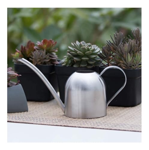 Regador de plantas pequeno bico fino Metal 500Ml