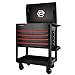 Powerbuilt Professional 31 in. Rolling 5 Drawer Mechanics Tool Cart, 18 Gauge Steel, 15,400 Cu. In. Storage, 5 in. Casters, Lockable Drawers and Lid with Gas Struts, 44 Tool Slots, Side Tray, Handle