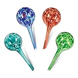 Blazin' Bison Indoor Plant Watering Globes | Automatic Self Water Bulbs | Aqua Water Globe |...