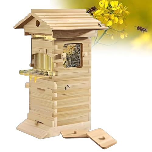 Kit completo per la raccolta del miele in stile Langstroth,