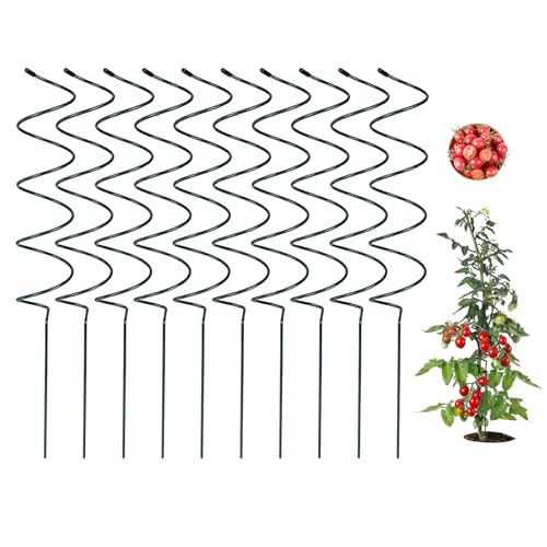 Wshxjzyay 10 Pack Tomato Twist Stake Spiral Tomato Stakes for Indoor Outdoor Spiral Garden Stakes for Climbing Plants Tomatoes Roses & Garden Vines