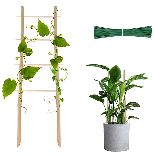 Bamboo Trellis for Climbing Plants 16 Inch 3 Pack Ladder-Shaped Natural Small Bamboo Lattice Mini Wooden Plant Support Trellis Climber for Potted Houseplants Rose Pothos Monstera Indoor Outdoor Garden