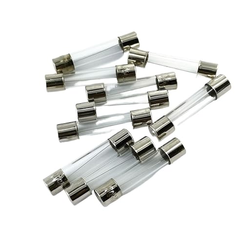 Fusible en verre 5x20mm pour réparer le micro-ondes ou la machine à café de la cuisine