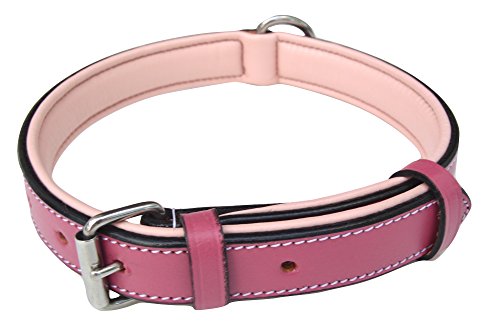 Soft Touch Collars Leather Dog Padded Collar, Slimline Edition Size Large, 1 inch Wide, Two Toned Raspberry Pink with Light Pink Padding