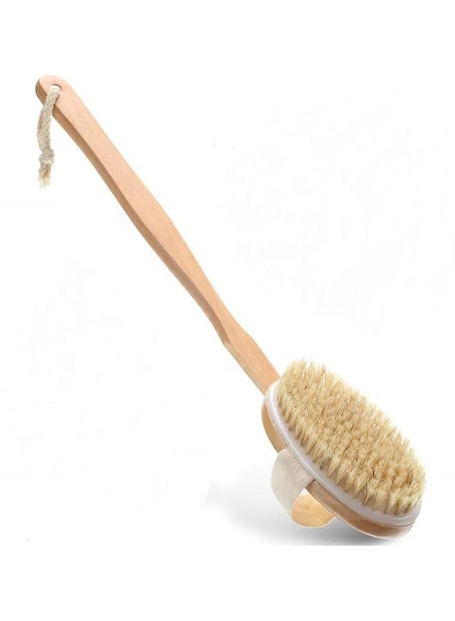 Rahalife Skin Cleaning Bath Brush With Long Handle Bath Back Spa Clean Shower Brush Natural Bristle Shower Brushes Improves Blood Circulation, Exfoliates, Skin Health Wet Or Dry Back Scrubber, Brown