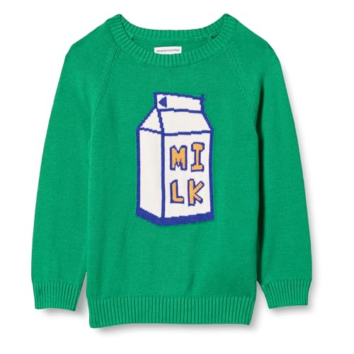 Amazon Essentials Boys' Cotton Knit Pullover Crewneck Sweater, Green Milk Carton, Large