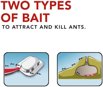 Raid Ant Killer Baits and Traps, Kills Ants Where They Breed, For Indoor Use, Child Resistant, 4 Bait Stations - 3