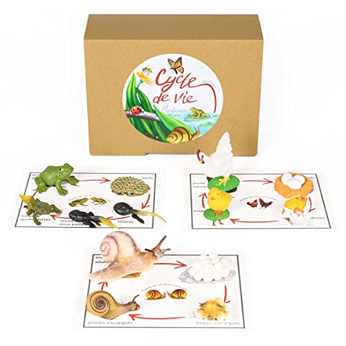 Pacha ECHECS® - Juego de Ciclo de Vida de Animales - Material Educativo Montessori para Aprender la evolución | Herramienta pedagógica | Figuras realistas | Crecimiento | Anatomía | Biología