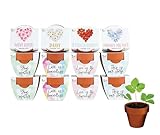 BUZZY Seeds Terracotta Mini Grow Pots Flower Plant Starter Kit – Love Collection Assorted 12-Pack – Indoor DIY Garden Kit – Perfect Wedding Favors, Bridal Shower Gardening Gifts, Valentines